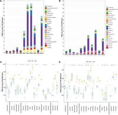 Impact of Microbiota Transplant on Resistome of Gut Microbiota in Gnotobiotic Piglets and Human Subjects